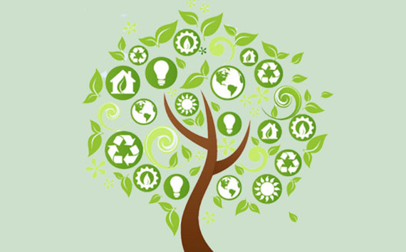 Environmental Policy